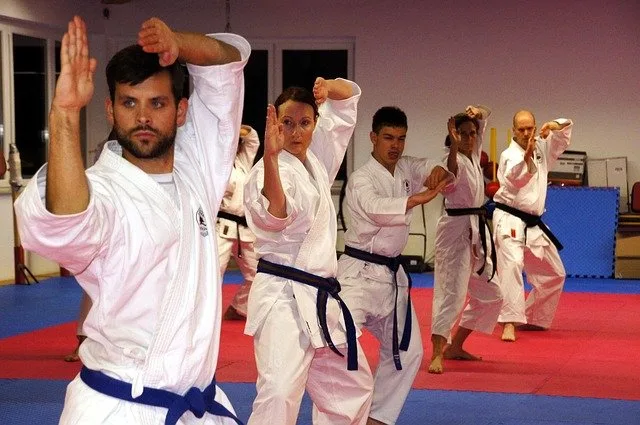 Aikido Martial Arts Style